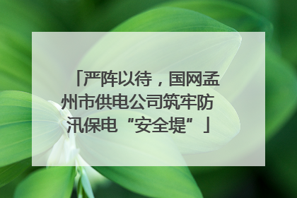 严阵以待，国网孟州市供电公司筑牢防汛保电“安全堤”
