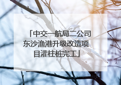 中交一航局二公司东沙渔港升级改造项目灌柱桩完工