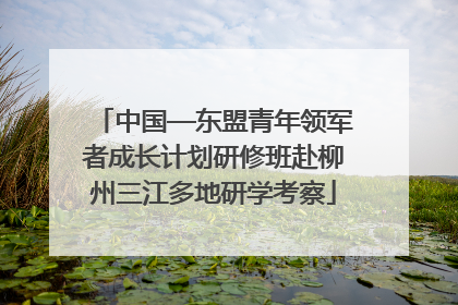 中国—东盟青年领军者成长计划研修班赴柳州三江多地研学考察