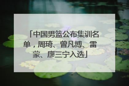 中国男篮公布集训名单，周琦、曾凡博、雷蒙、廖三宁入选