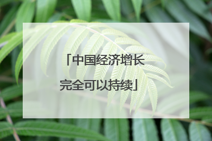 中国经济增长完全可以持续