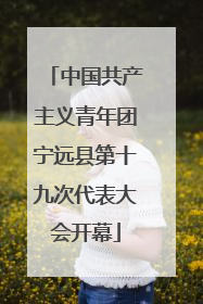 中国共产主义青年团宁远县第十九次代表大会开幕