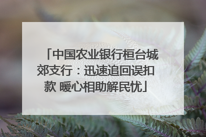 中国农业银行桓台城郊支行：迅速追回误扣款 暖心相助解民忧