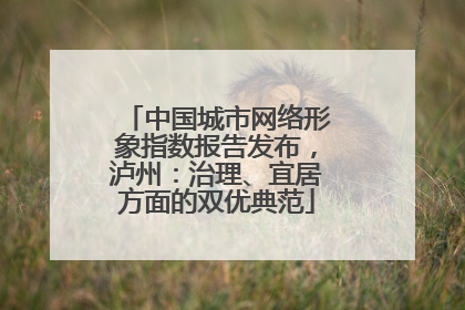 中国城市网络形象指数报告发布，泸州：治理、宜居方面的双优典范