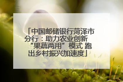 中国邮储银行菏泽市分行：助力农业创新 “果蔬两用”模式 跑出乡村振兴加速度