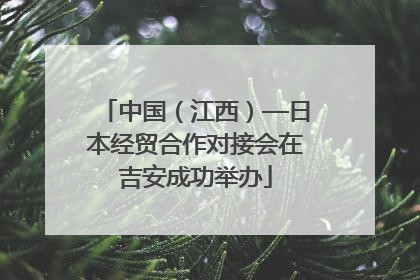 中国（江西）—日本经贸合作对接会在吉安成功举办