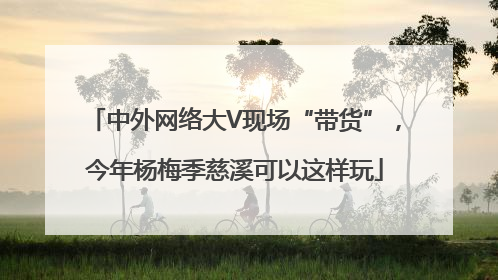 中外网络大V现场“带货”，今年杨梅季慈溪可以这样玩