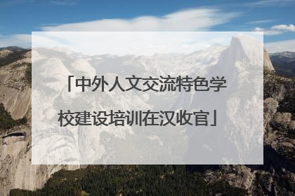 中外人文交流特色学校建设培训在汉收官