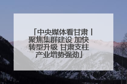中央媒体看甘肃丨聚焦集群建设 加快转型升级 甘肃支柱产业增势强劲