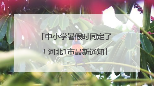 中小学暑假时间定了！河北1市最新通知