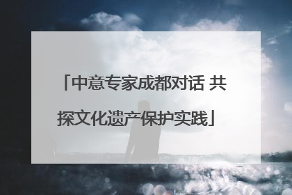 中意专家成都对话 共探文化遗产保护实践