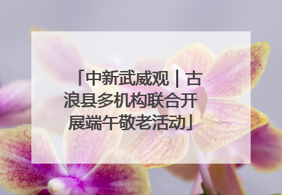中新武威观｜古浪县多机构联合开展端午敬老活动