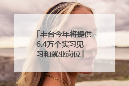 丰台今年将提供6.4万个实习见习和就业岗位