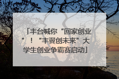 丰台喊你“回家创业”！“丰翼创未来”大学生创业争霸赛启动