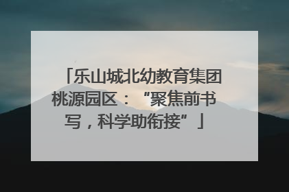 乐山城北幼教育集团桃源园区：“聚焦前书写，科学助衔接”