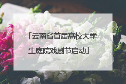 云南省首届高校大学生庭院戏剧节启动