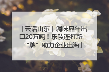 云话山东｜调味品年出口20万吨！乐陵连打新“牌”助力企业出海