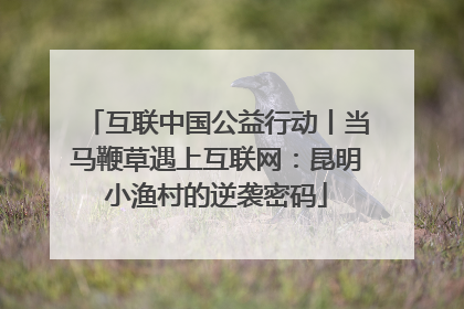 互联中国公益行动丨当马鞭草遇上互联网：昆明小渔村的逆袭密码