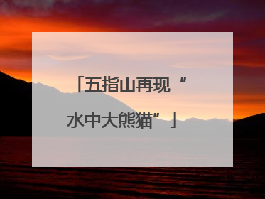 五指山再现“水中大熊猫”
