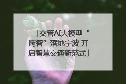 交管AI大模型“鹰智”落地宁波 开启智慧交通新范式