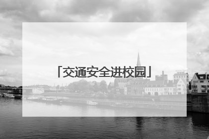 交通安全进校园