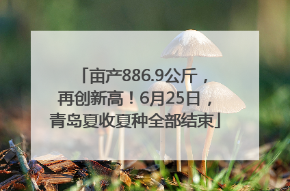 亩产886.9公斤，再创新高！6月25日，青岛夏收夏种全部结束