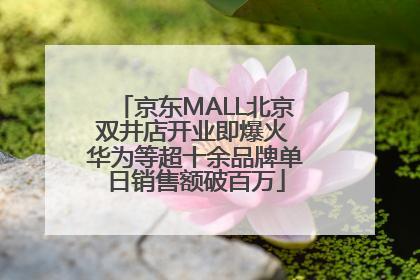 京东MALL北京双井店开业即爆火 华为等超十余品牌单日销售额破百万