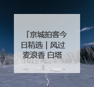 京城拍客今日精选｜风过麦浪香 白塔入云端