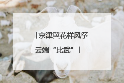 京津冀花样风筝云端“比武”