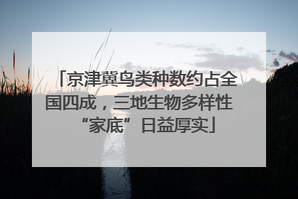 京津冀鸟类种数约占全国四成，三地生物多样性“家底”日益厚实