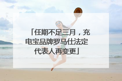任期不足三月，充电宝品牌罗马仕法定代表人再变更
