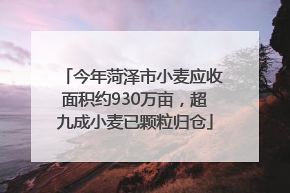 今年菏泽市小麦应收面积约930万亩，超九成小麦已颗粒归仓