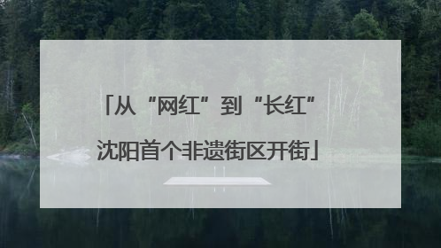 从“网红”到“长红” 沈阳首个非遗街区开街