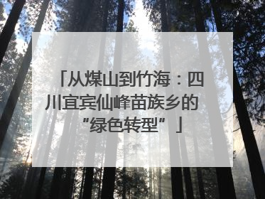 从煤山到竹海：四川宜宾仙峰苗族乡的“绿色转型”