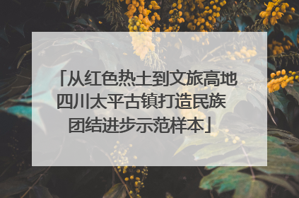 从红色热土到文旅高地 四川太平古镇打造民族团结进步示范样本