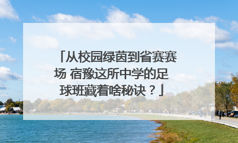 从校园绿茵到省赛赛场 宿豫这所中学的足球班藏着啥秘诀？