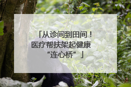 从诊间到田间！医疗帮扶架起健康“连心桥”