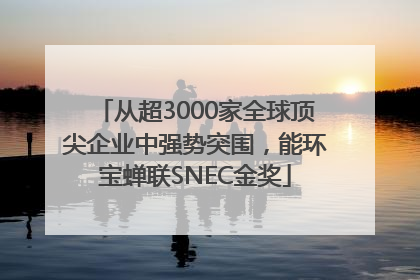 从超3000家全球顶尖企业中强势突围，能环宝蝉联SNEC金奖