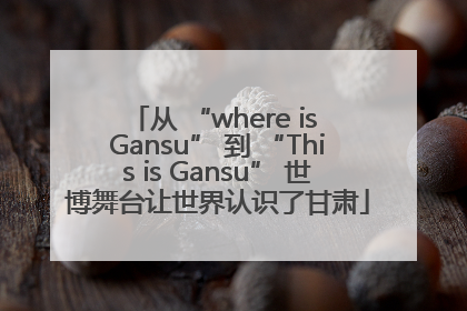 从 “where is Gansu” 到 “This is Gansu” 世博舞台让世界认识了甘肃