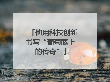 他用科技创新书写“葡萄藤上的传奇”