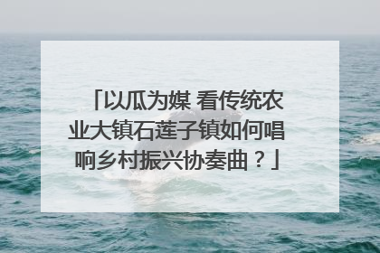 以瓜为媒 看传统农业大镇石莲子镇如何唱响乡村振兴协奏曲？
