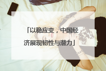 以稳应变，中国经济展现韧性与潜力