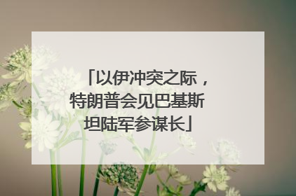 以伊冲突之际，特朗普会见巴基斯坦陆军参谋长