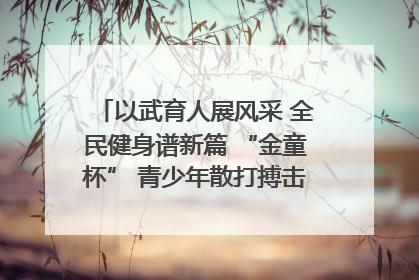 以武育人展风采 全民健身谱新篇 “金童杯” 青少年散打搏击邀请赛圆满落幕