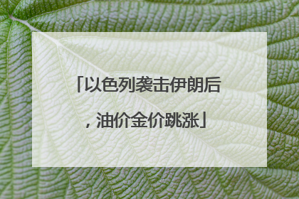 以色列袭击伊朗后，油价金价跳涨