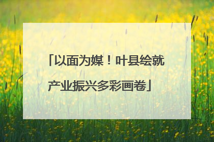 以面为媒！叶县绘就产业振兴多彩画卷