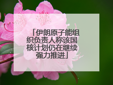 伊朗原子能组织负责人称该国核计划仍在继续强力推进