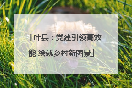 叶县：党建引领高效能 绘就乡村新图景