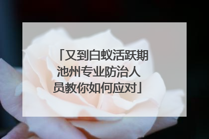 又到白蚁活跃期 池州专业防治人员教你如何应对