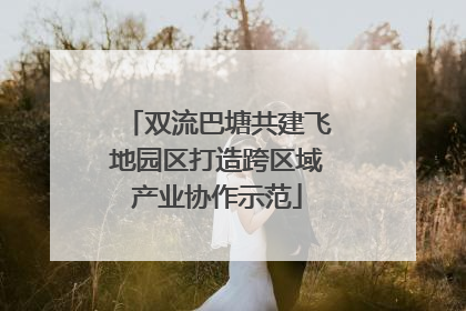 双流巴塘共建飞地园区打造跨区域产业协作示范